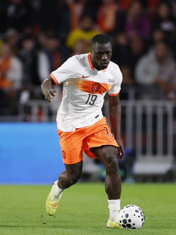 Football. International Friendly. Netherlands - Ecuador. 31.03.2026