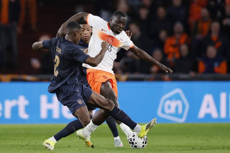Football. International Friendly. Netherlands - Ecuador. 31.03.2026