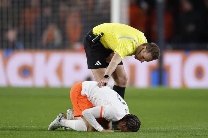 Football. International Friendly. Netherlands - Ecuador. 31.03.2026