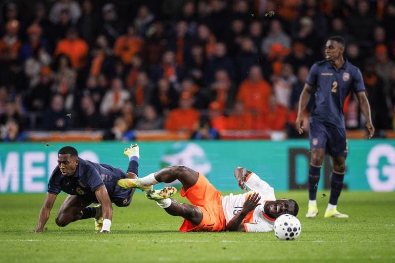 Football. International Friendly. Netherlands - Ecuador. 31.03.2026