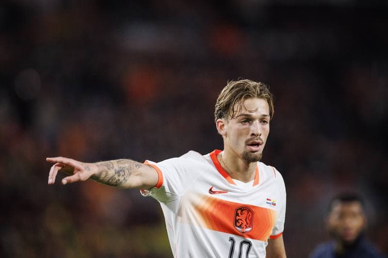 Football. International Friendly. Netherlands - Ecuador. 31.03.2026