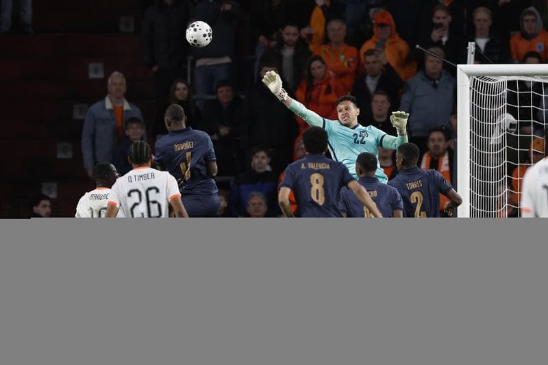 Football. International Friendly. Netherlands - Ecuador. 31.03.2026