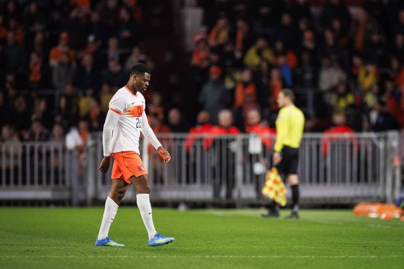 Football. International Friendly. Netherlands - Ecuador. 31.03.2026