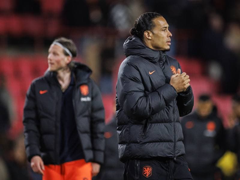 Football. International Friendly. Netherlands - Ecuador. 31.03.2026