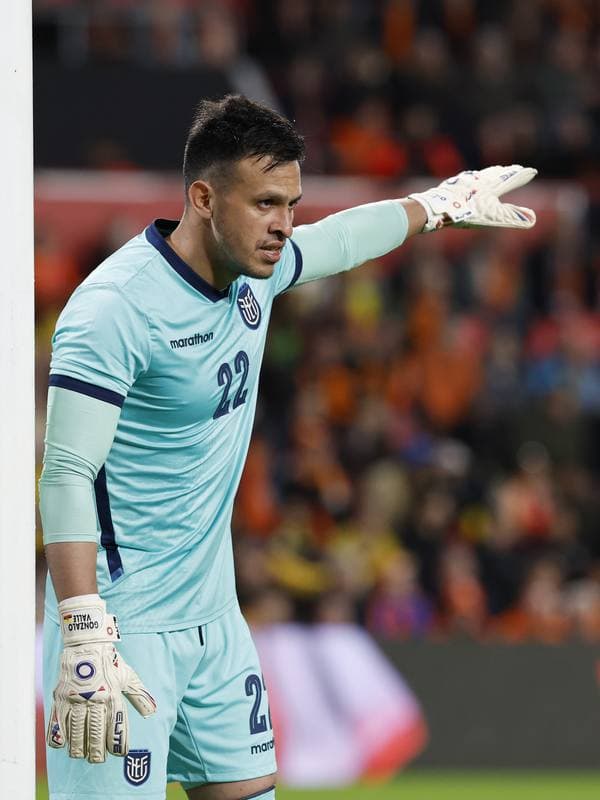 Football. International Friendly. Netherlands - Ecuador. 31.03.2026