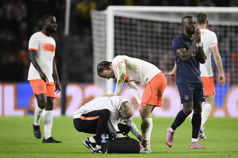Football. International Friendly. Netherlands - Ecuador. 31.03.2026