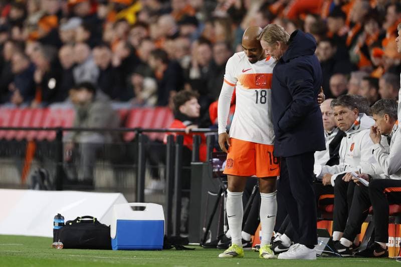 Football. International Friendly. Netherlands - Ecuador. 31.03.2026