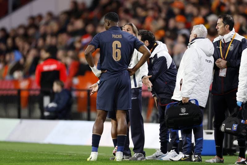 Football. International Friendly. Netherlands - Ecuador. 31.03.2026