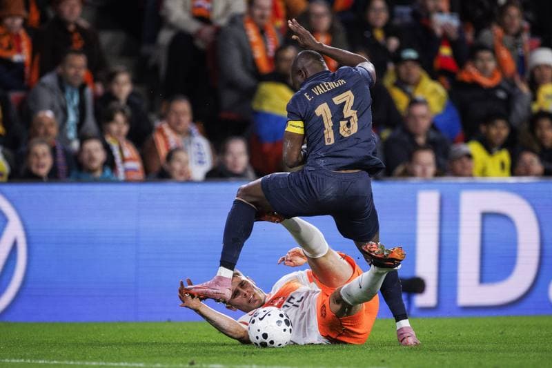Football. International Friendly. Netherlands - Ecuador. 31.03.2026