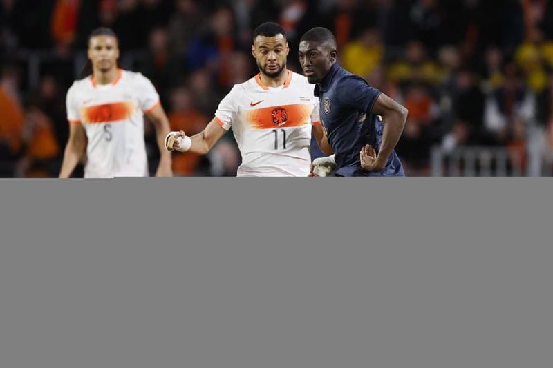 Football. International Friendly. Netherlands - Ecuador. 31.03.2026