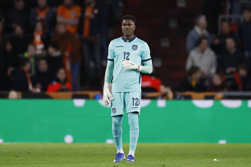 Football. International Friendly. Netherlands - Ecuador. 31.03.2026