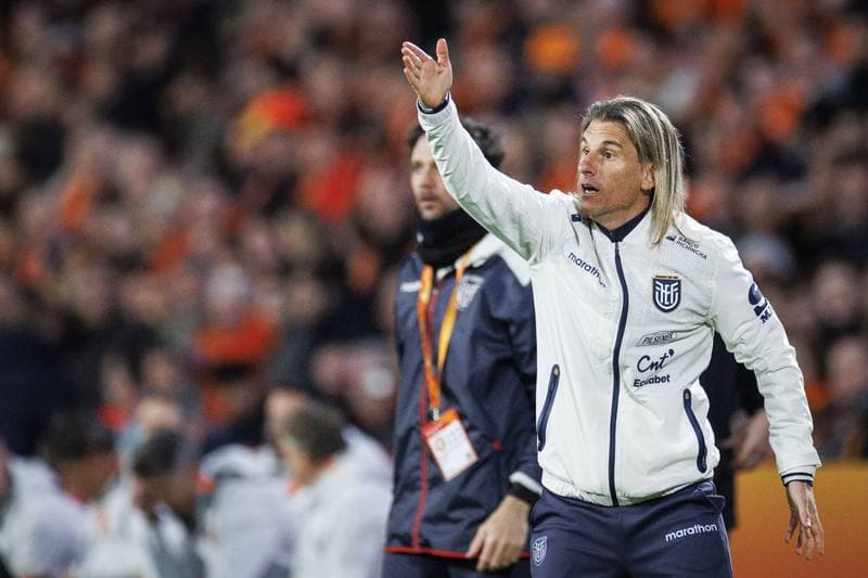 Football. International Friendly. Netherlands - Ecuador. 31.03.2026