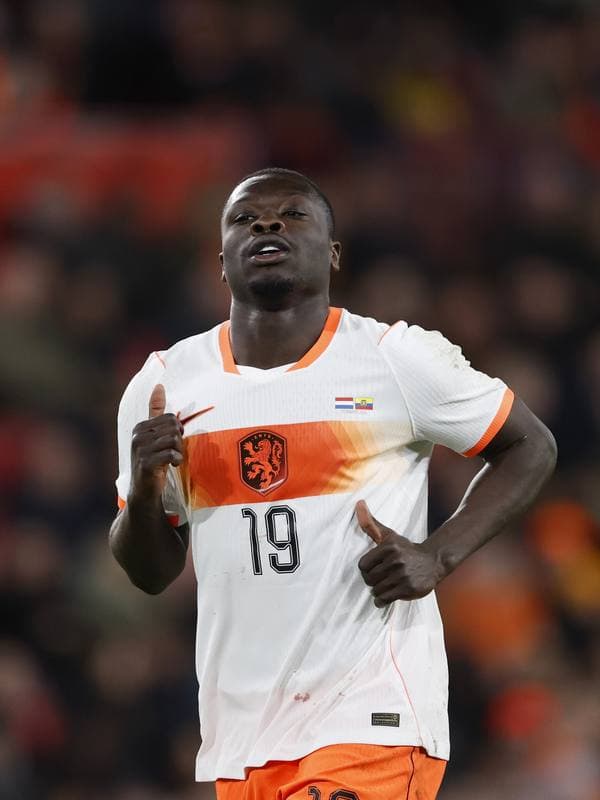 Football. International Friendly. Netherlands - Ecuador. 31.03.2026