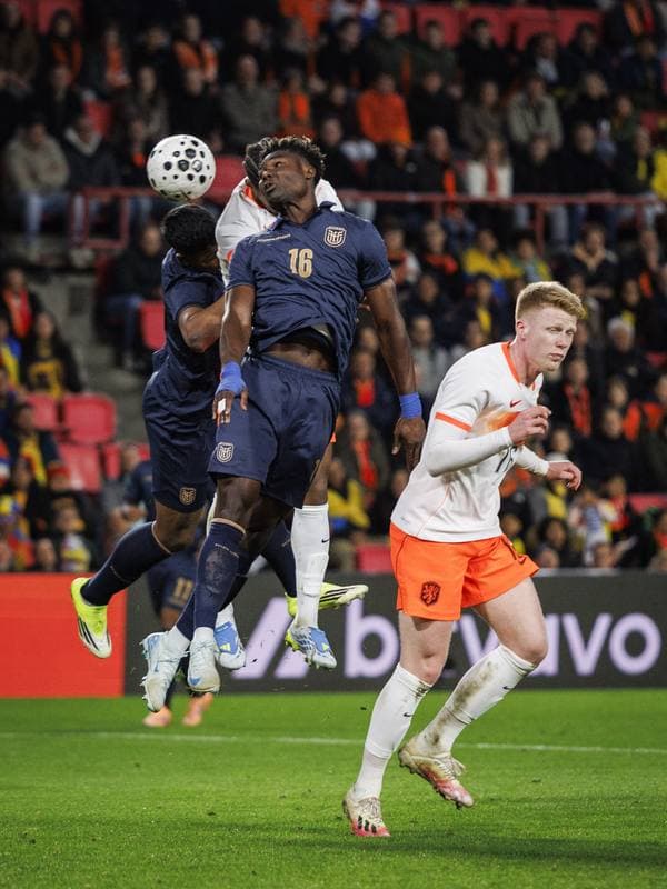 Football. International Friendly. Netherlands - Ecuador. 31.03.2026