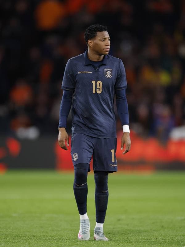 Football. International Friendly. Netherlands - Ecuador. 31.03.2026