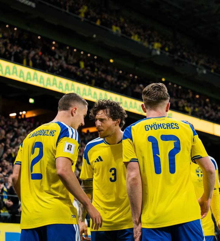 Football. FIFA World Cup Qualifier. Sweden - Poland. 31.03.2026
