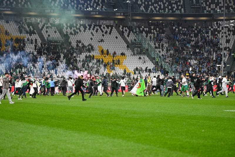 Football. Friendly Match. Algeria - Uruguay. 31.03.2026