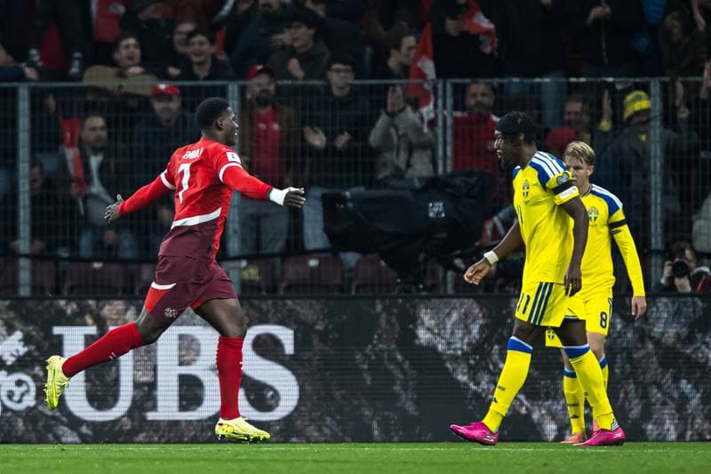 Football. FIFA World Cup Qualifier. Switzerland - Sweden. 15.11.2025