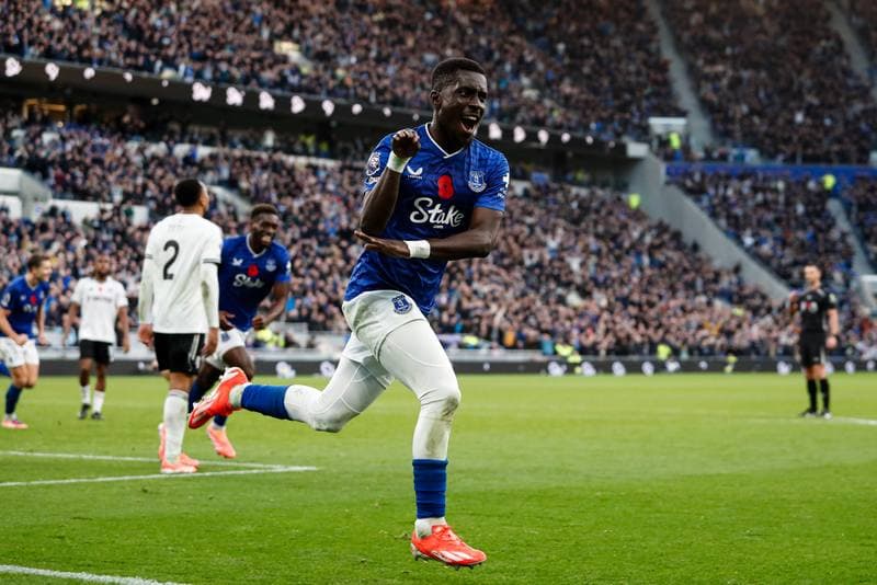 Football. Premier League. Everton - Fulham. 08.11.2025