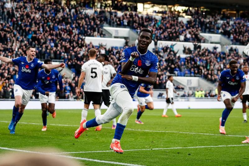 Football. Premier League. Everton - Fulham. 08.11.2025