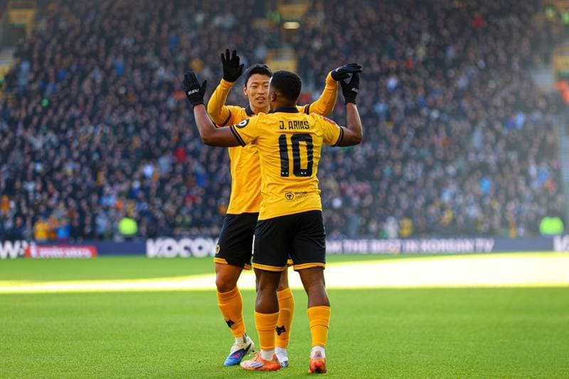 Football. FA Cup. Wolverhampton Wanderers - Shrewsbury Town. 10.01.2026
