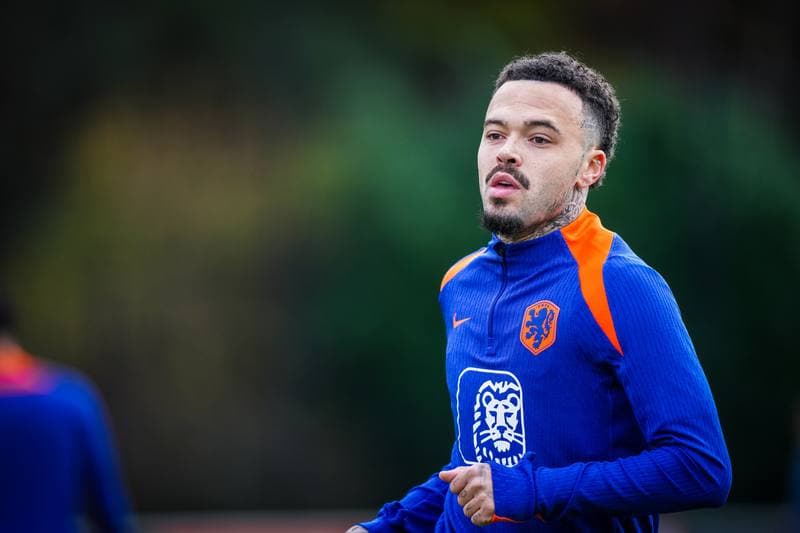 Football. Netherlands. Training. 11.11.2025