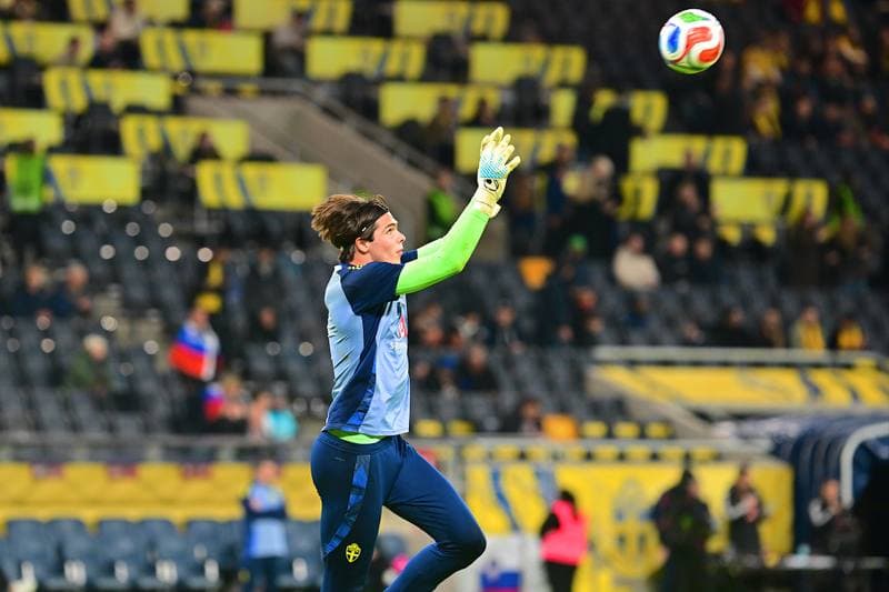 Football. FIFA World Cup Qualifiers. Sweden - Slovenia. 18.11.2025