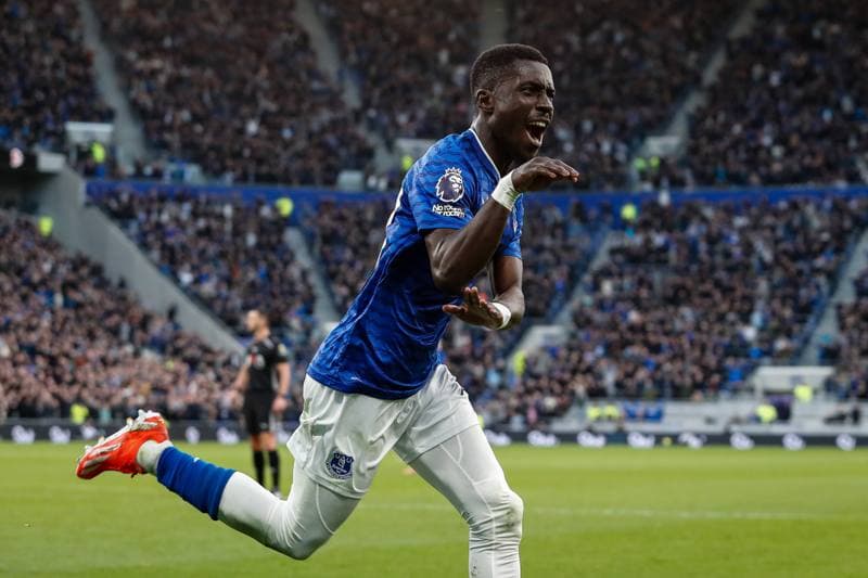 Football. Premier League. Everton - Fulham. 08.11.2025