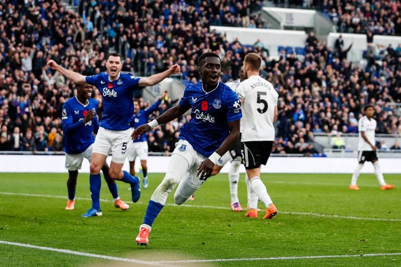 Football. Premier League. Everton - Fulham. 08.11.2025