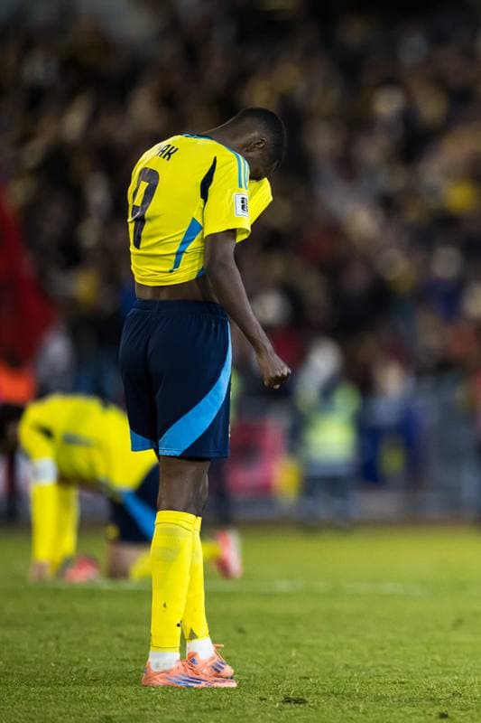 Football. FIFA World Cup Qualifier. Sweden - Kosovo. 13.10.2025