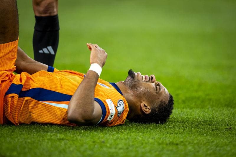 Football. FIFA World Cup Qualifiers. Netherlands - Lithuania. 17.11.2025