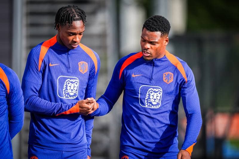 Football. Netherlands. Training. 11.11.2025