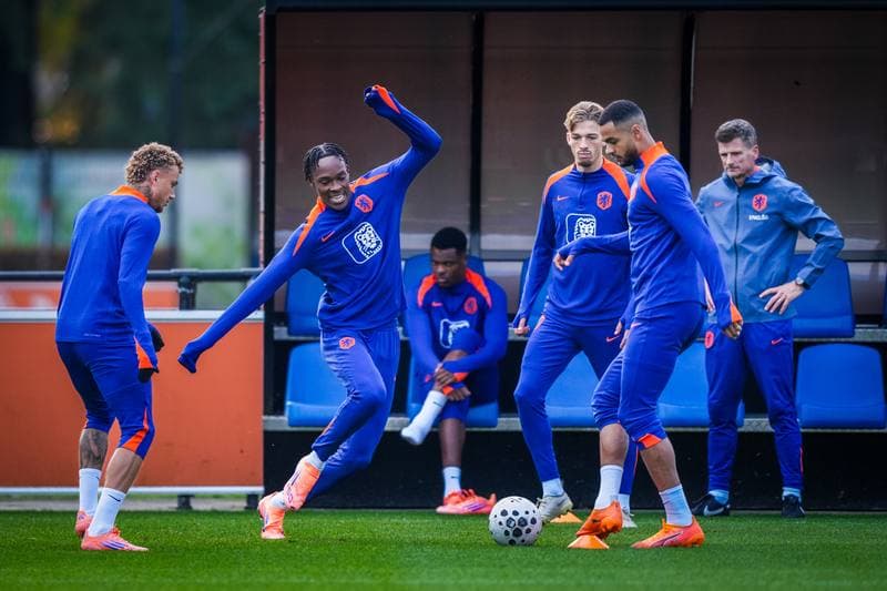Football. Netherlands. Training. 11.11.2025