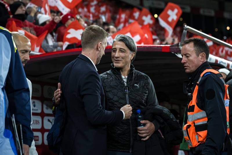 Football. FIFA World Cup Qualifier. Switzerland - Sweden. 15.11.2025