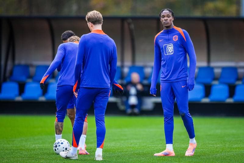 Football. Netherlands. Training. 11.11.2025