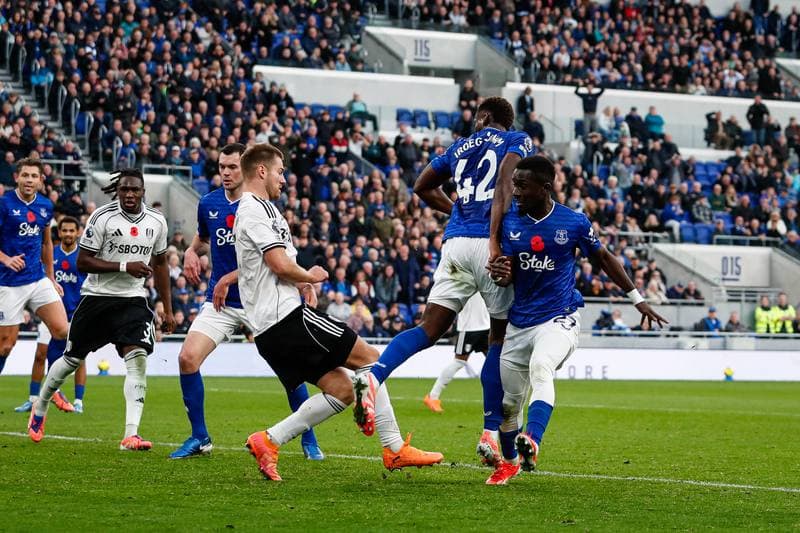Football. Premier League. Everton - Fulham. 08.11.2025