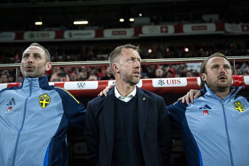 Football. FIFA World Cup Qualifier. Switzerland - Sweden. 15.11.2025