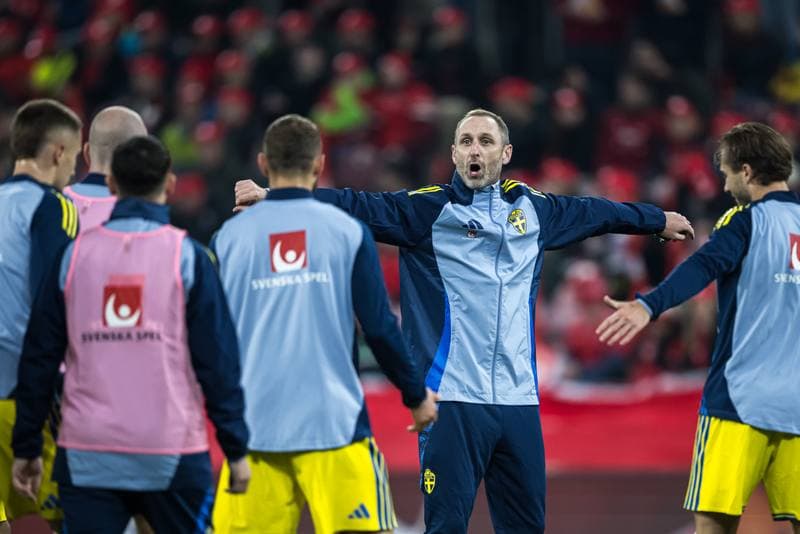 Football. FIFA World Cup Qualifier. Switzerland - Sweden. 15.11.2025