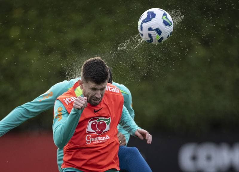 Football. Brazil. Training. 15.11.2015