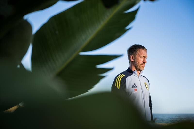 Football. Sweden. Press Conference. 10.11.2025