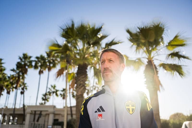 Football. Sweden. Press Conference. 10.11.2025