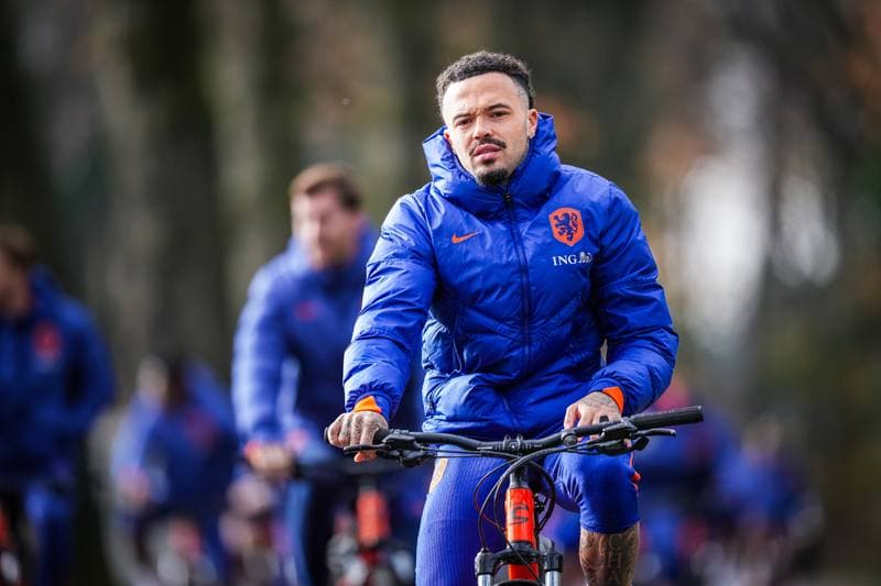 Football. Netherlands. Training. 11.11.2025