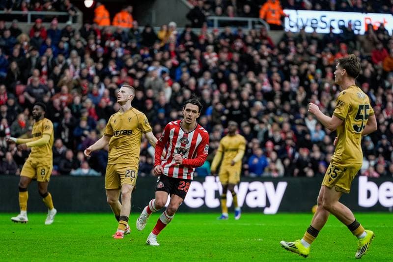 Football. Premier League. Sunderland - Crystal Palace. 17.01.2026