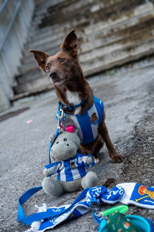 Football. La Liga. Real Sociedad - Mallorca. 16.03.2026