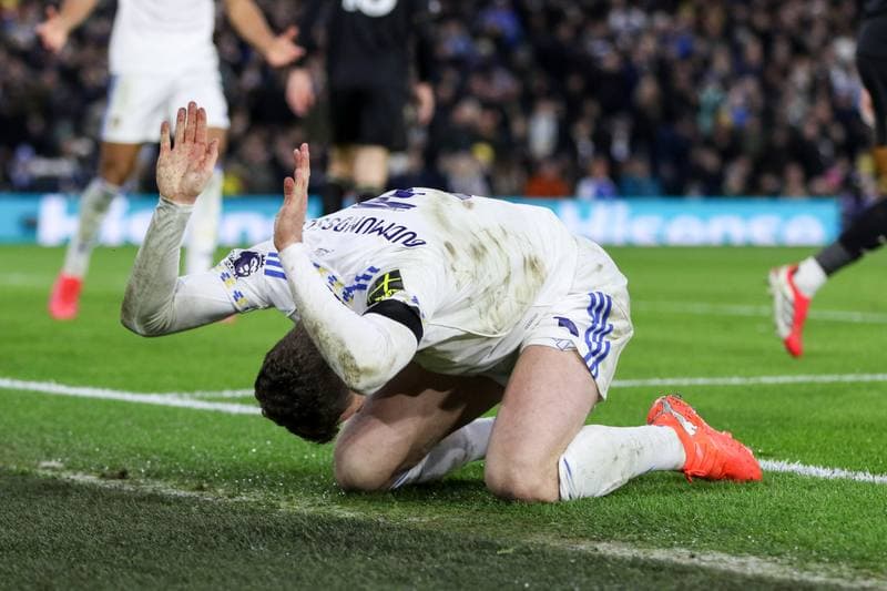 Football. Premier League. Leeds United - Fulham. 17.01.2026