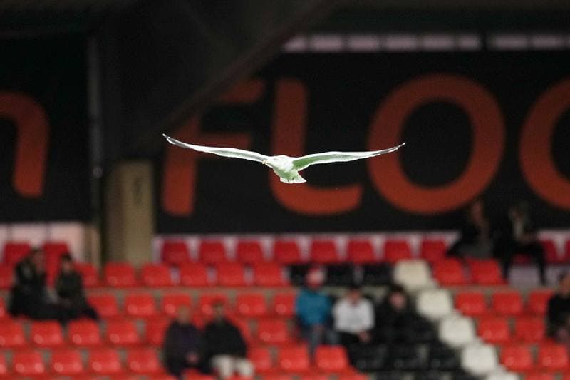 Football. Ligue 1. FC Lorient - Paris Saint-Germain. 29.10.2025