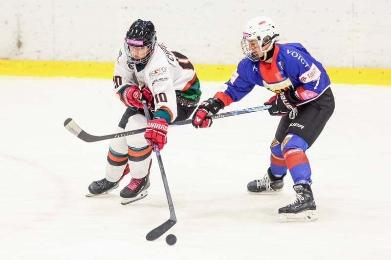 Ice Hockey. Tauron Liga Hokeja Kobiet. Kojotki Naprzod Janow Katowice - BS Polonia Bytom. 28.03.2026