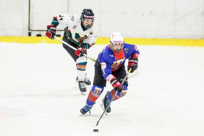 Ice Hockey. Tauron Liga Hokeja Kobiet. Kojotki Naprzod Janow Katowice - BS Polonia Bytom. 28.03.2026