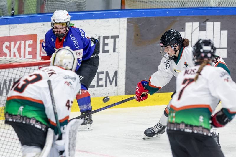 Ice Hockey. Tauron Liga Hokeja Kobiet. Kojotki Naprzod Janow Katowice - BS Polonia Bytom. 28.03.2026