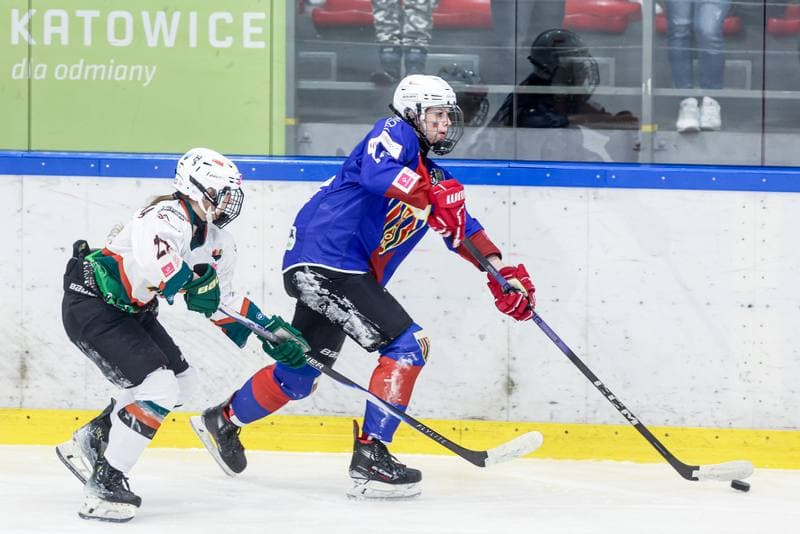 Ice Hockey. Tauron Liga Hokeja Kobiet. Kojotki Naprzod Janow Katowice - BS Polonia Bytom. 28.03.2026